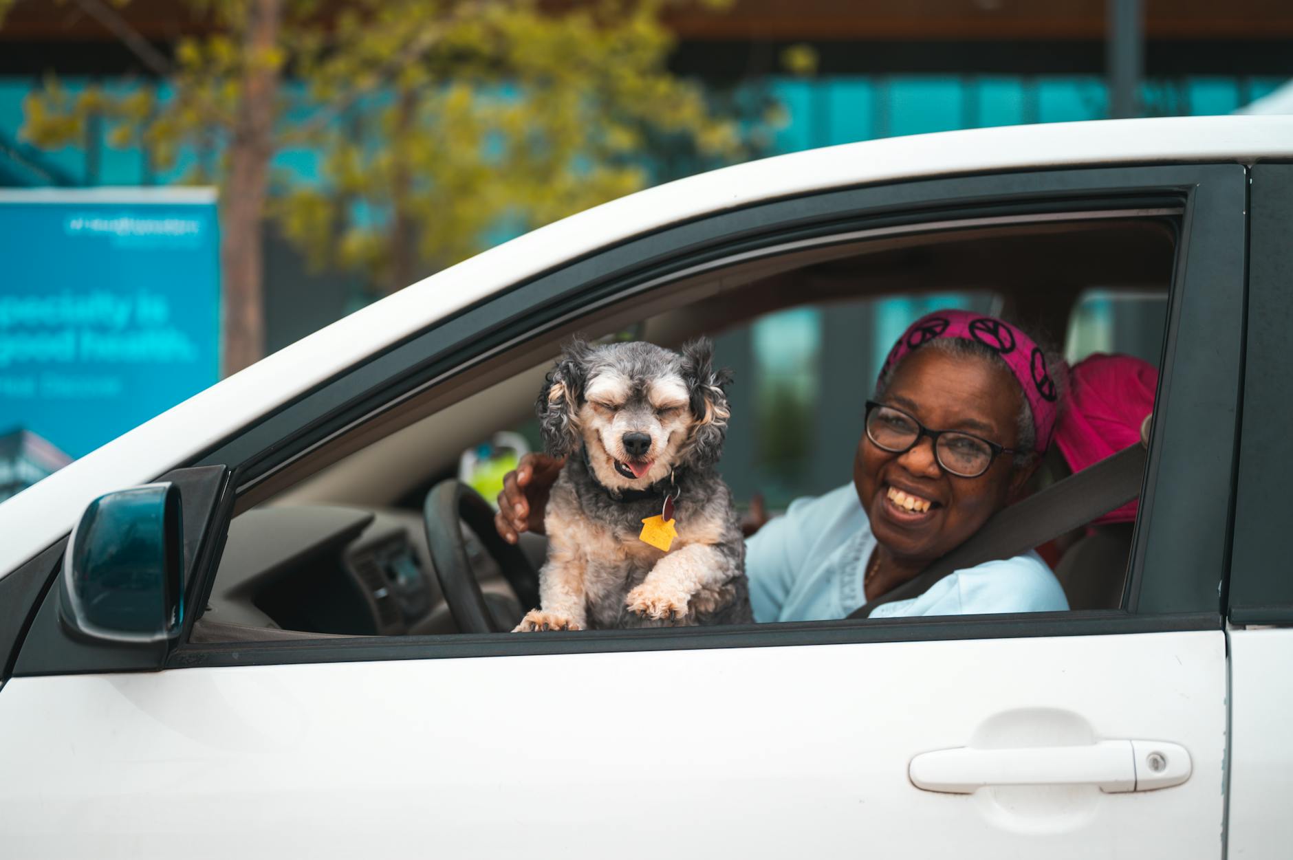 a woman riding a car with a dog